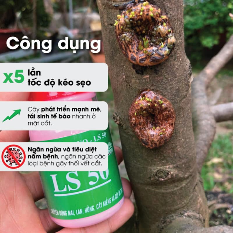 công dụng keo liền sẹo ls 50