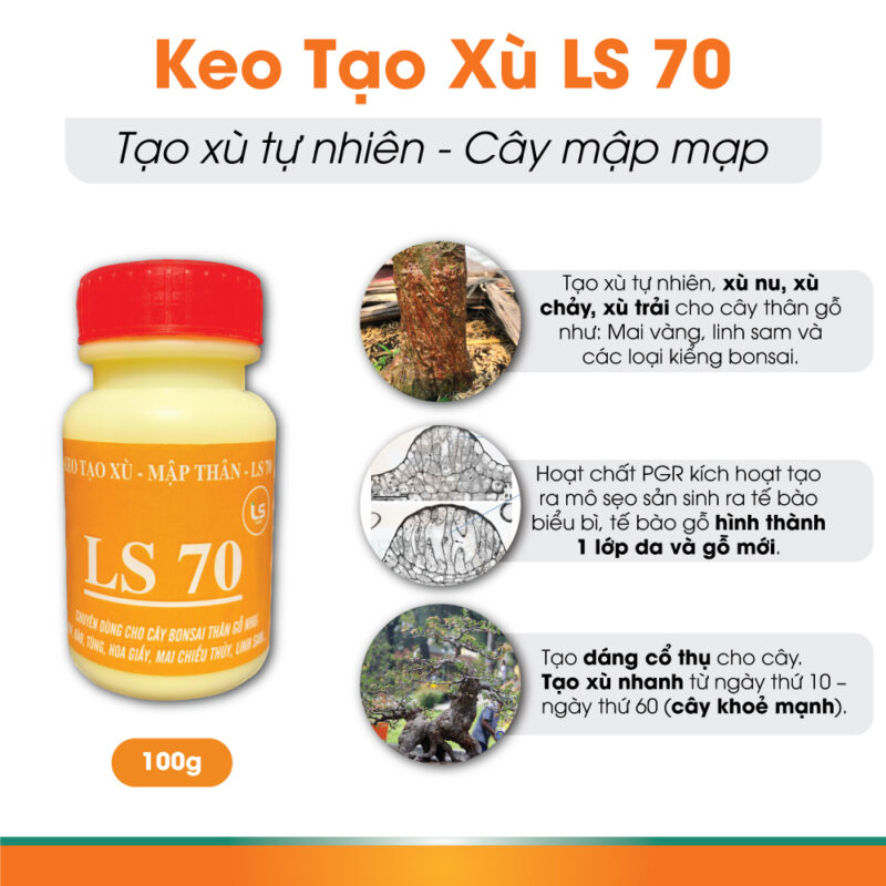 keo-tạo-xù-LS-70---tạo-xù-tự-nhiên