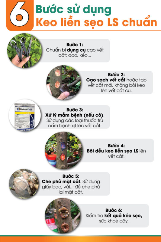 6-buoc-su-dung-keo-lien-seo-ls-chuan