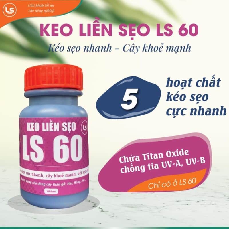 Keo-liền-sẹo-LS-60