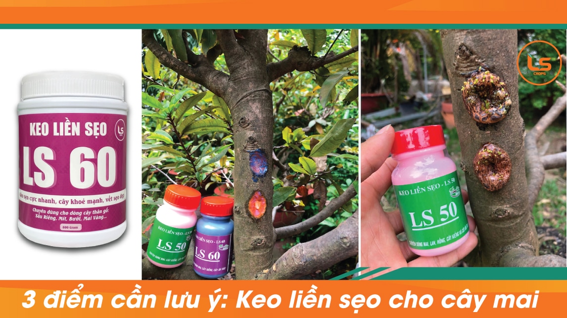 keo-lien-seo-cho-cay.-mai