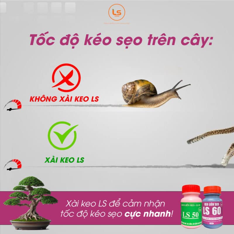 toc-do-keo-seo-khi-xai-keo-ls