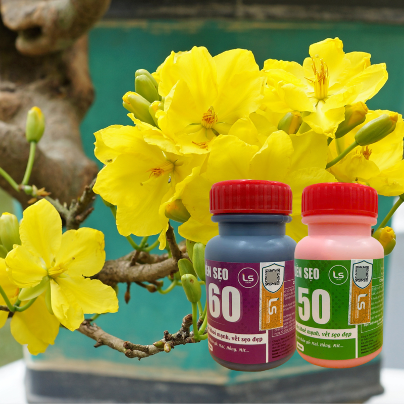 keo liền sẹo cho cây LS50, LS60 chính hãng phải có tem chống hàng giả
