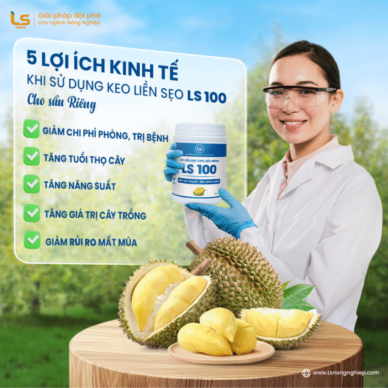 5 lợi ích kinh tế khi sử dụng keo liền da LS100 cho sầu riêng