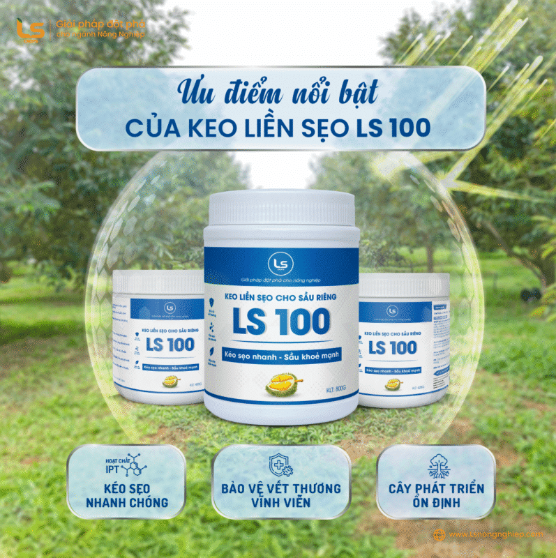 Keo liền sẹo LS100 - Kéo sẹo nhanh, cây khỏe mạnh