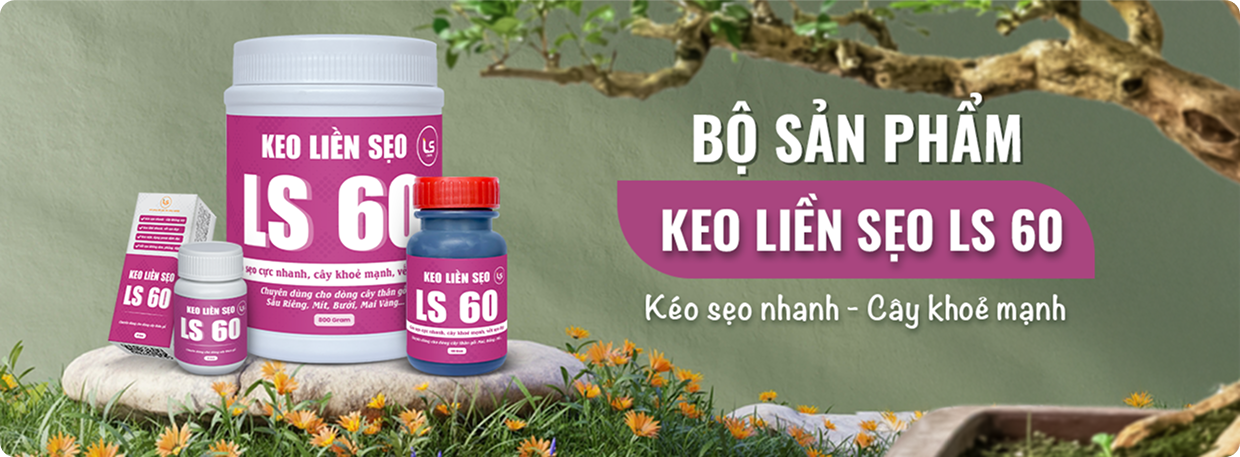 bo san pham ls 60